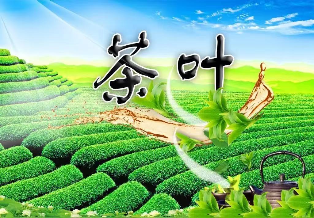 3年狂揽55亿,茶叶界捧出一个IPO