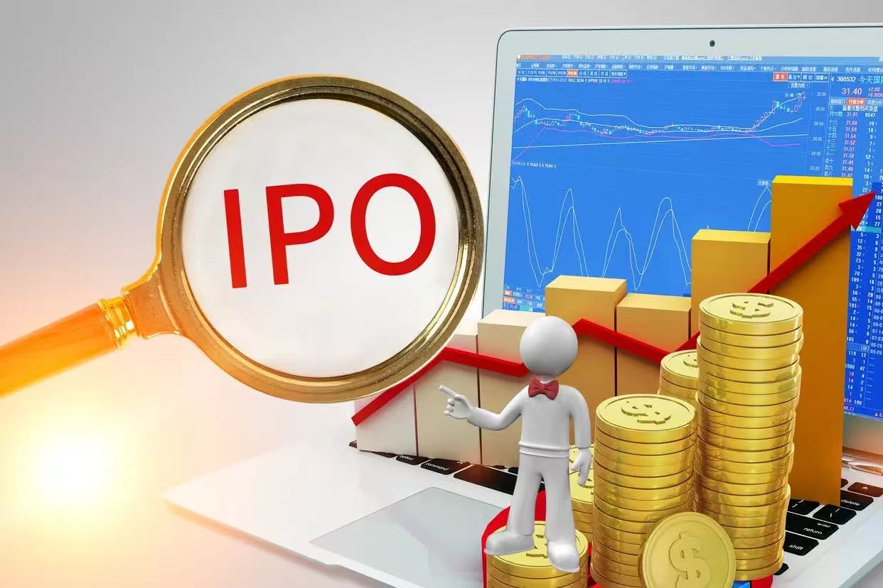 深交所罕见IPO：年入205.12亿，打破纪录